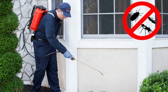 Savaştepe Kemirgen İlaçlama böcek ilaçlama ve haşere kontrolü — ilaclama-tr.com
